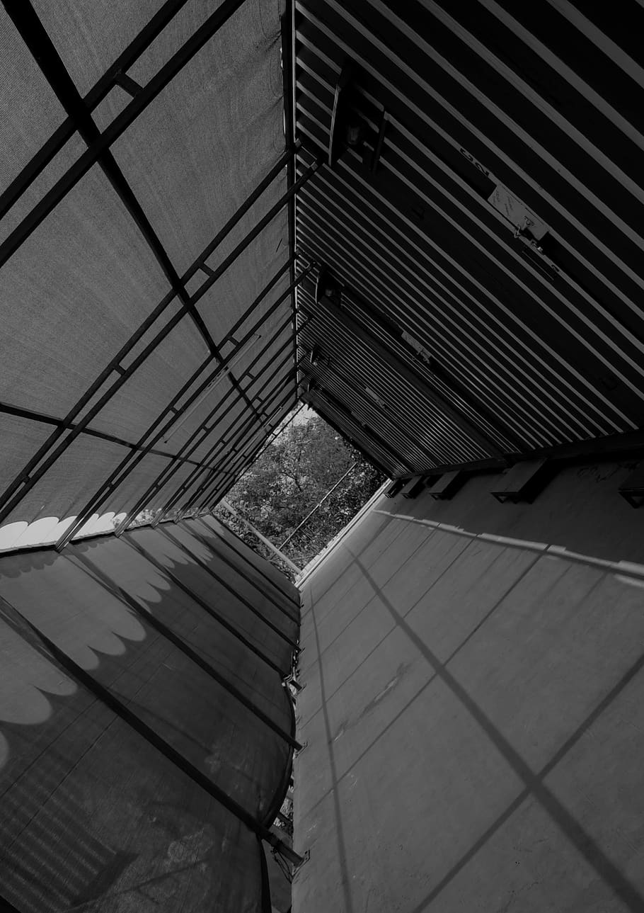 india, hyderabad, patterns, geometry, lines, depth, trees, shapes HD wallpaper