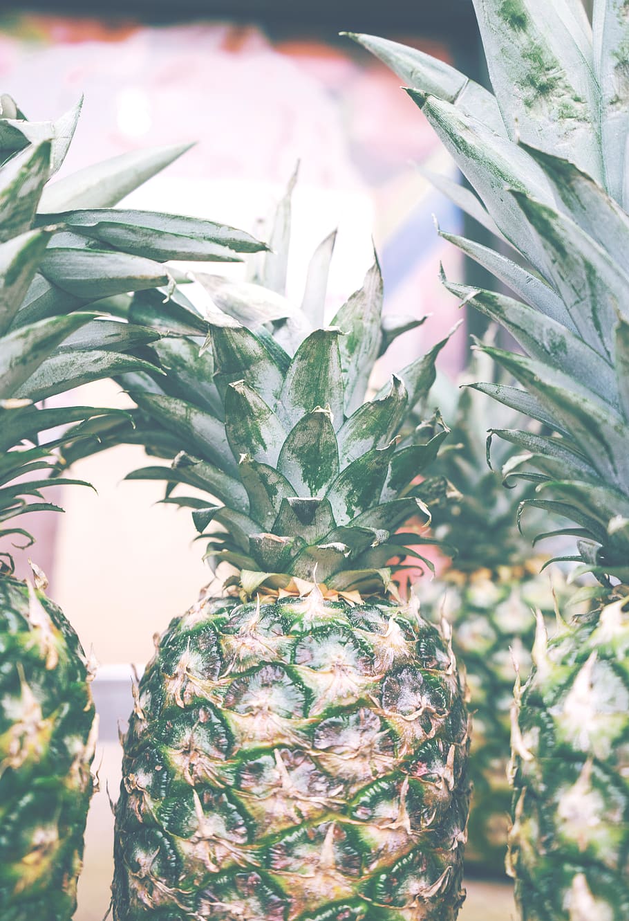canada, toronto, chinatown, pineapple, nutrition, fruit, food HD wallpaper