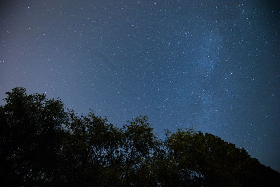 tree, space, astronomy, star - space, night, plant, sky, scenics - nature HD wallpaper