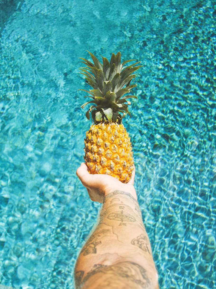 person holding pineapple fruit, one person, human hand, human body part HD wallpaper