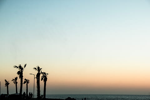 beach, rabat, morocco, palm, color, sky, water, sea, beauty in nature HD wallpaper