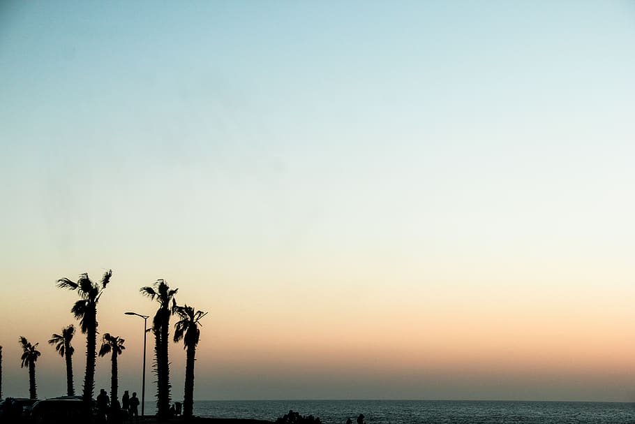 beach, rabat, morocco, palm, color, sky, water, sea, beauty in nature HD wallpaper