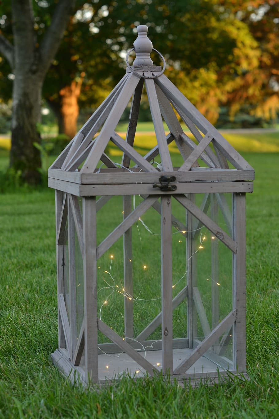 fairy lights, lantern, summer, grass, plant, nature, tree, field HD wallpaper