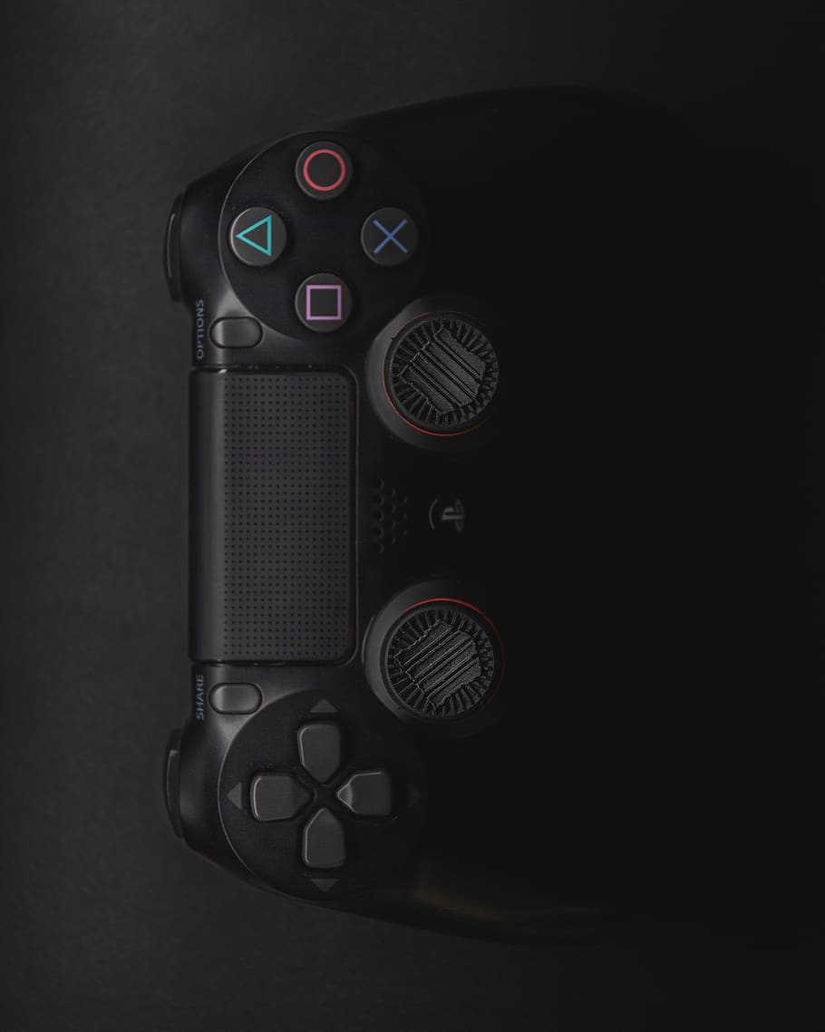 dualshock 4 public