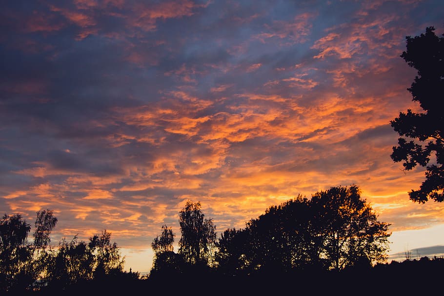 sunset, colorful, sundown, trees, colos, orange, blue, grey HD wallpaper