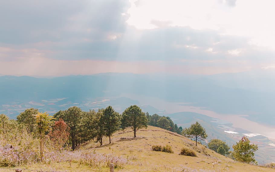 Green Trees on Top of Mountain, countryside, daylight, daytime HD wallpaper