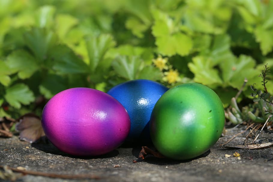 easter, easter eggs, colorful, colored, spring, easter nest HD wallpaper