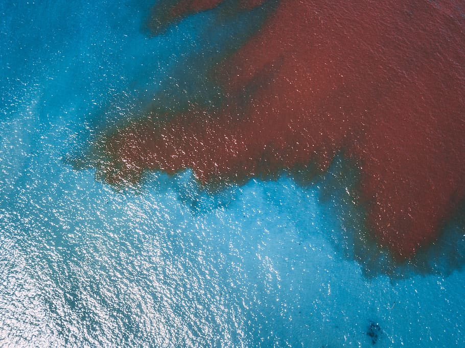 red and blue textile, nature, water, sea, outdoors, ocean, adventure HD wallpaper