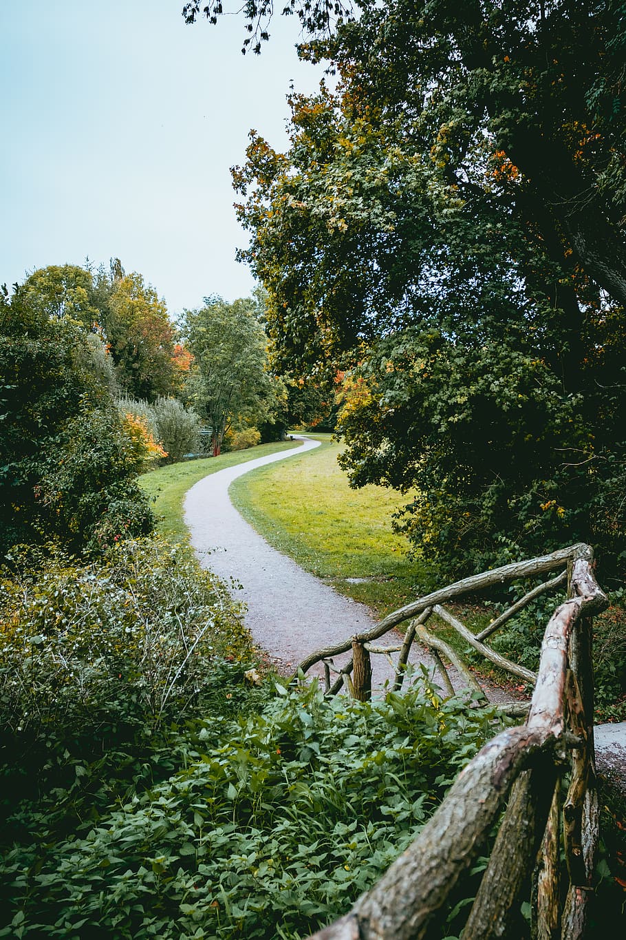 empty road near trees during daytime, dirt road, gravel, plant HD wallpaper
