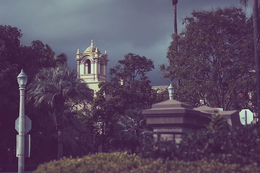 green-leafed trees, building, spire, tower, architecture, steeple HD wallpaper