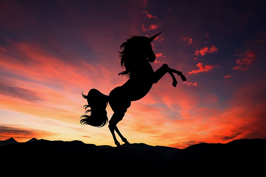 unicorn, sunset, fantasy, magic, horse, creature, myth, stallion, HD wallpaper