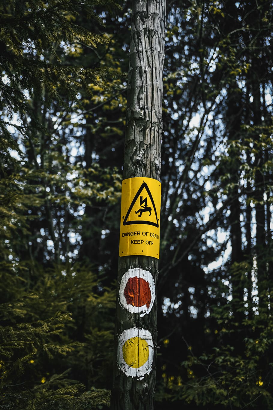 danger sign poster, tree, plant, communication, trunk, tree trunk HD wallpaper