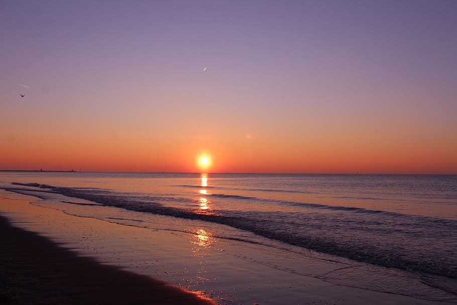 nature, outdoors, sunlight, flare, sky, sunset, red sky, dusk HD wallpaper