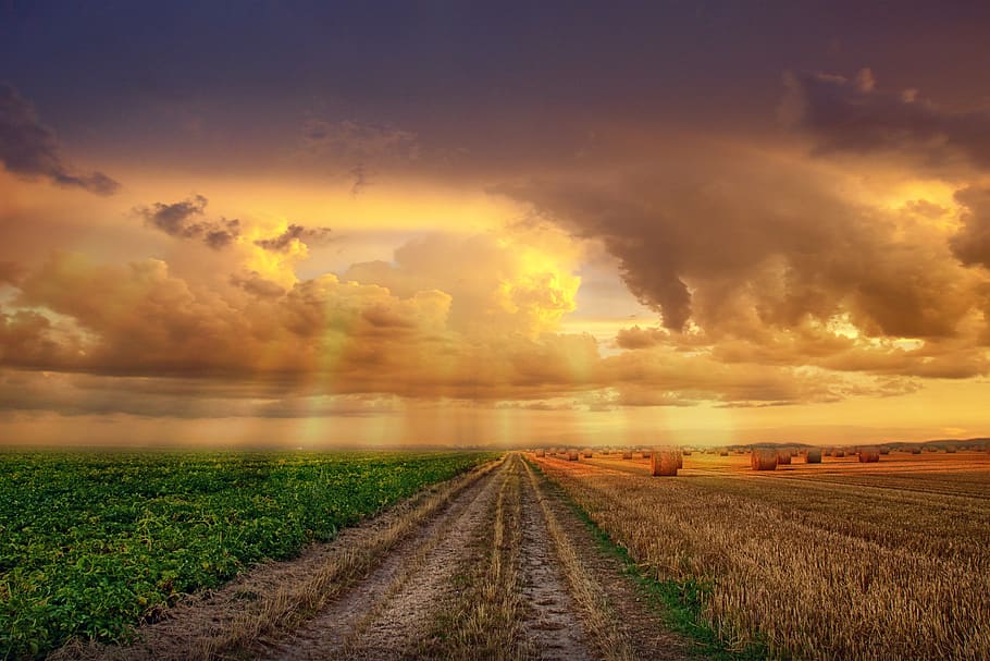 landscape, sunset, sky, clouds, field, nature, light, dom, hd wallpaper HD wallpaper