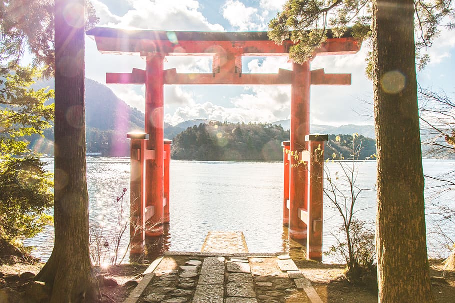 japan, 箱根町, 箱根神社, trees, temple, forest, lake, HD wallpaper