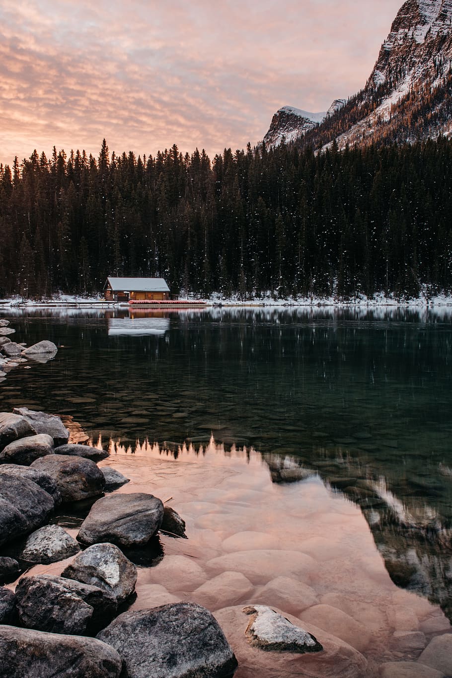 house near water under tree, cabin, mountain, forest, lake, snow HD wallpaper