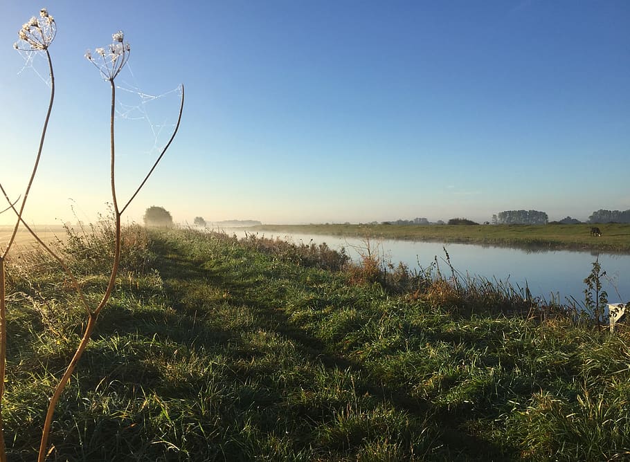 riverbank, misty, path, trail, nature, outdoor, natural, cold HD wallpaper