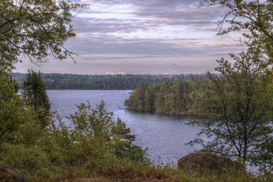 sweden, högakull, nature, tree, trees, lake, national park HD wallpaper