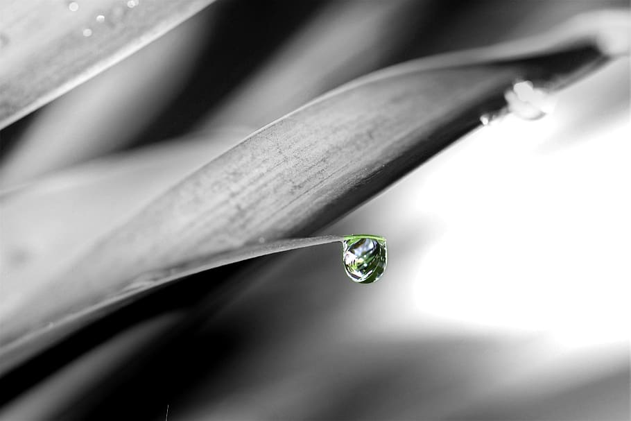 abstract, drop, h2o, rain, nature, still life, clean, splash HD wallpaper