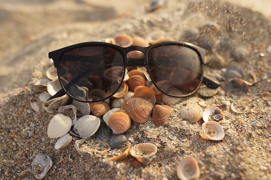 sunglasses, seashell, bokeh, 20mm, white, orange, black, sand, HD wallpaper