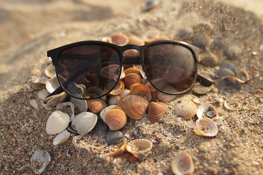 sunglasses, seashell, bokeh, 20mm, white, orange, black, sand HD wallpaper