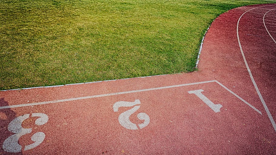 Baseball Yard, field, grass, grass field, grassy, green, green grass HD wallpaper