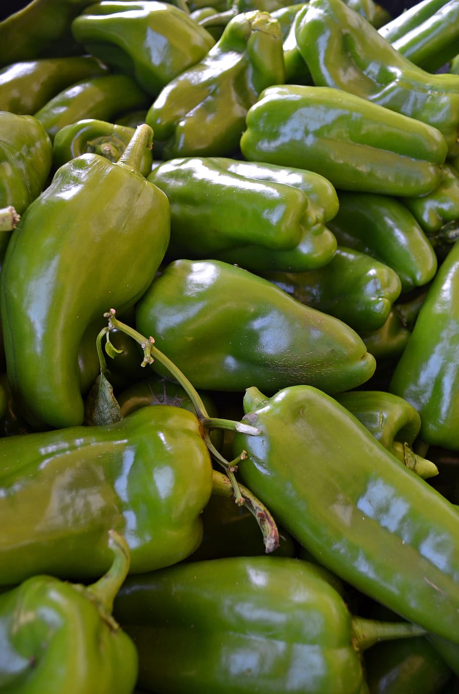 pepper, vegetables, green, food and drink, healthy eating, large group of objects, HD wallpaper
