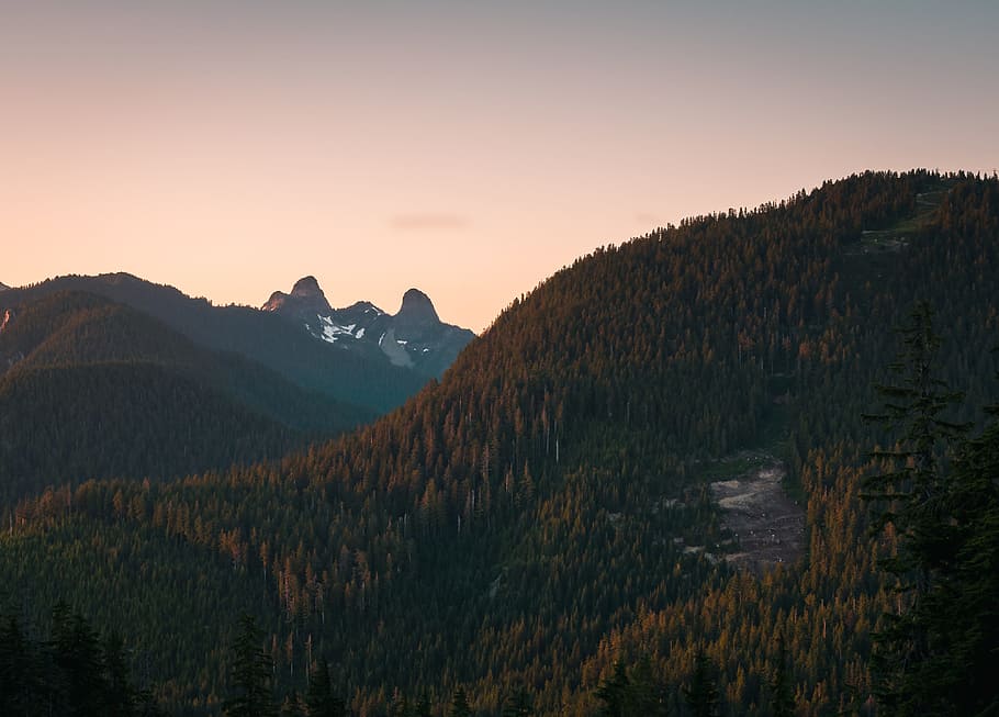 aerial photography of trees across mountain, rock, forest, sunset HD wallpaper