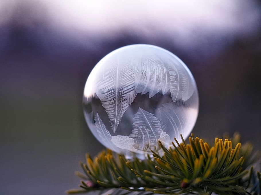 ball, circle, round, white, glass, plant, sphere, close-up HD wallpaper