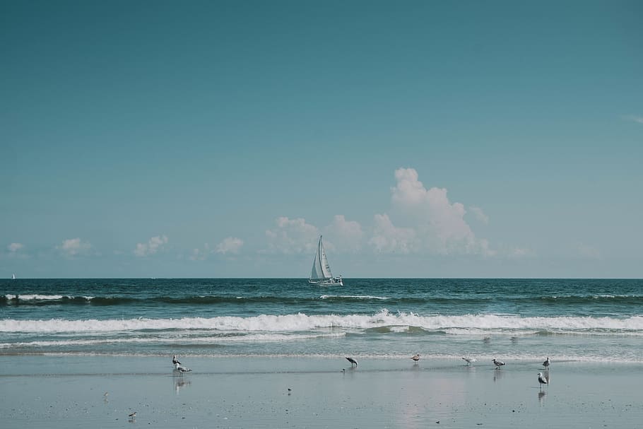 sea, ocean, water, wave, nature, beach, coast, horizon, shore HD wallpaper