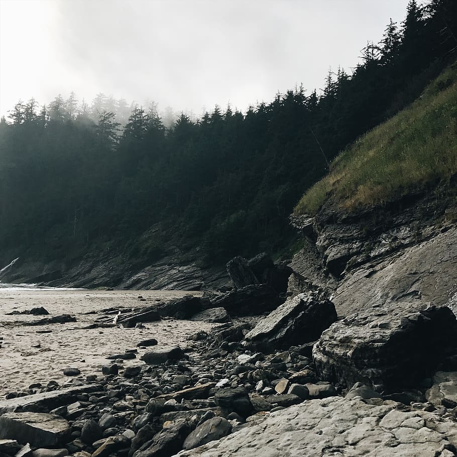 coast, rocks, trees, oregon, mist, coastal, ocean, misty, dreamy HD wallpaper