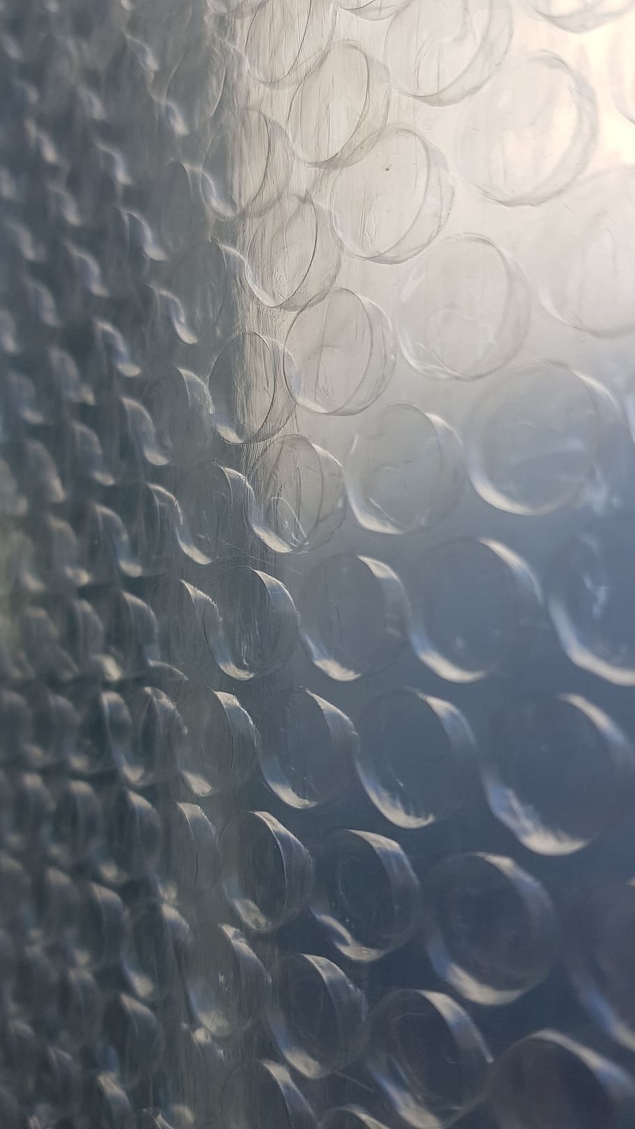 HQ Trivia Question  Bubble Wrap Wallpaper  Apartment Therapy