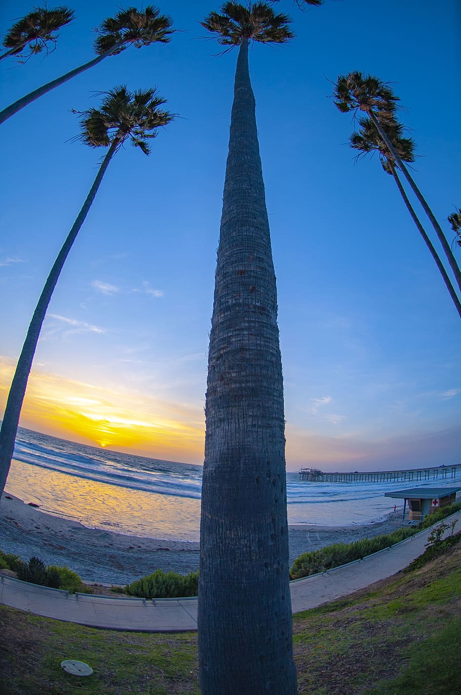 san diego, united states, sunset, romansgallery, scripps, la jolla, HD wallpaper