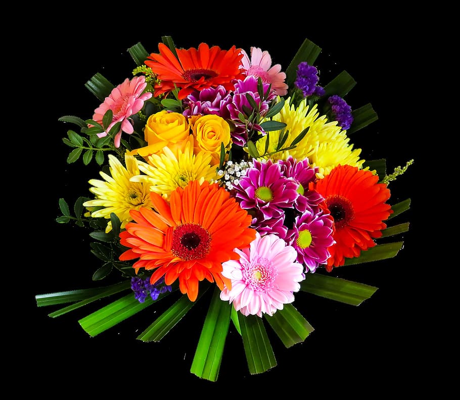 spring, fresh, flower, nature, fragrance, garden, blooming HD wallpaper