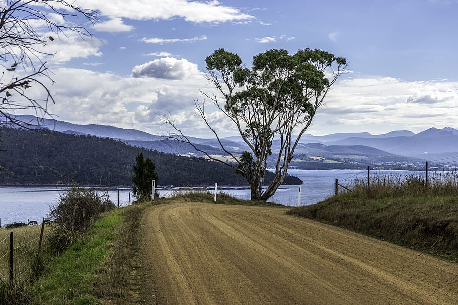 road, nature, sea, tree, landscape, sky, plant, cloud - sky HD wallpaper