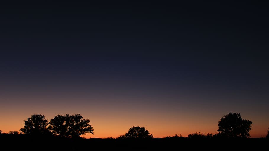 tree, sky, silhouette, tranquility, scenics - nature, plant HD wallpaper