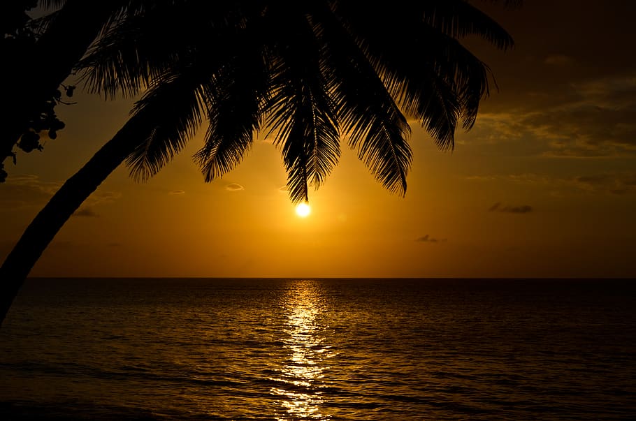 sea, kenia, sunset, light, sunrise, silhouette, africa, water HD wallpaper