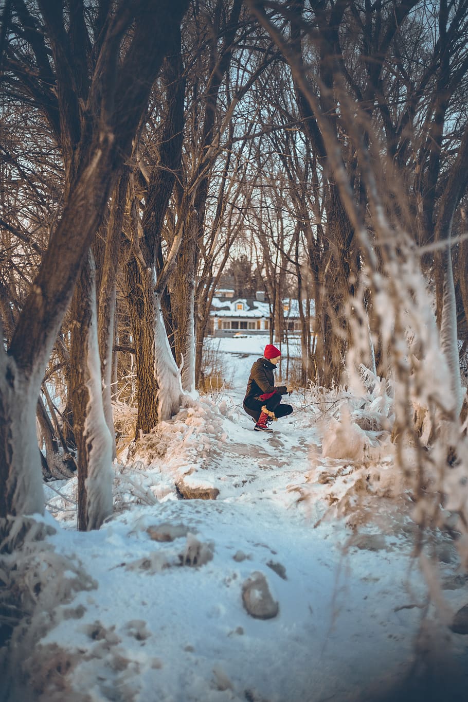 person sitting under leafless trees, human, plant, nature, outdoors HD wallpaper