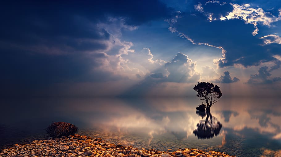 Reflecting Photo of Trees and Body of Water, blue, cloud, sun HD wallpaper