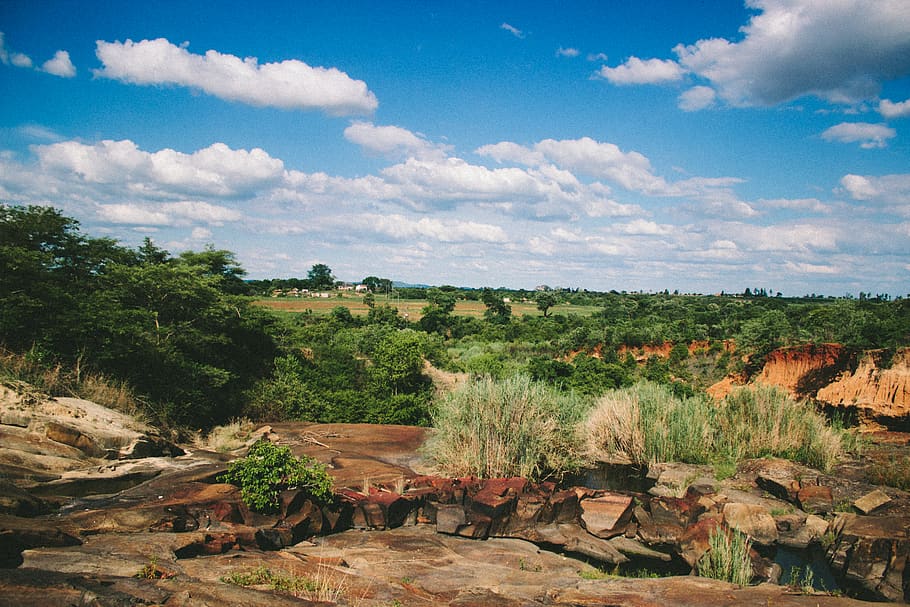 zimbabwe, glendale, dam, trees, lake, water, cloud - sky, plant HD wallpaper
