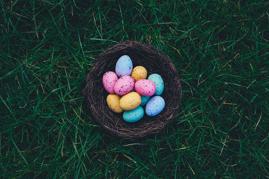 easter, basket, eggs, spot, food, proteins, color, pink, blue HD wallpaper