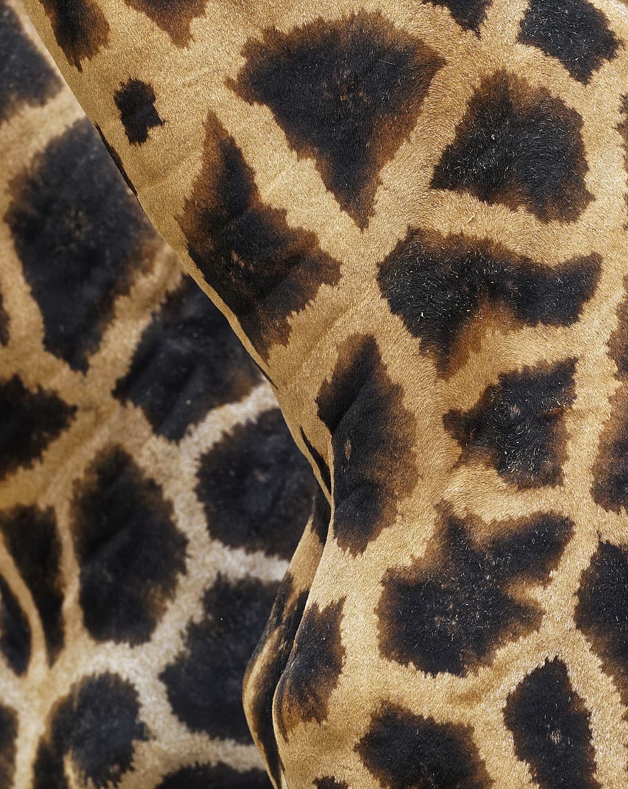 HD wallpaper: black and beige giraffe print garment, pattern, animal ...