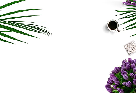 Top-view Photography of White Ceramic Mug On White Background HD wallpaper
