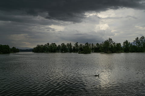 duck, thunder, rain, river, clouds, dark, weather, dramatic HD wallpaper