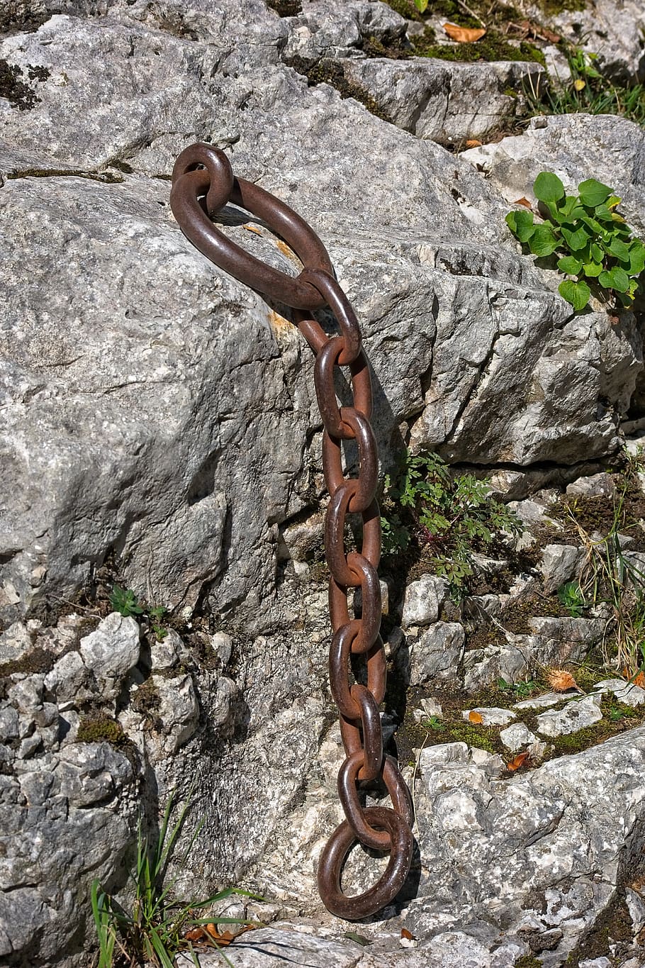 iron ring, chain, connection, chain link, cohesion, metallic HD wallpaper
