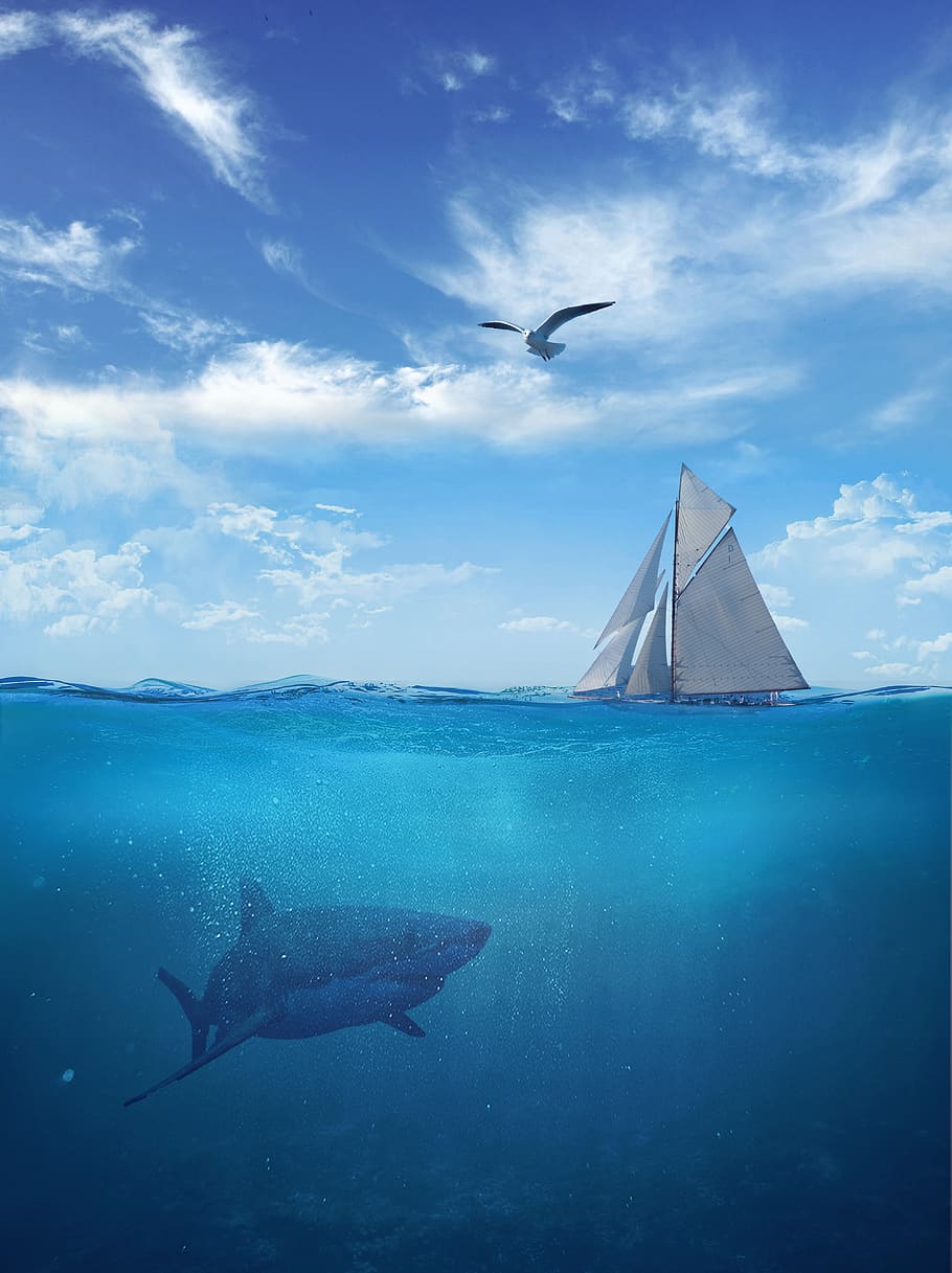 depth, shark, sail, sailboat, seagull, ocean, clouds, sky, water HD wallpaper