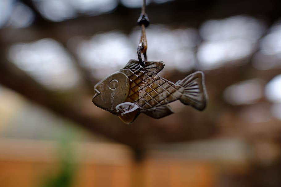 fish, garden, decoration, focus on foreground, close-up, hanging HD wallpaper