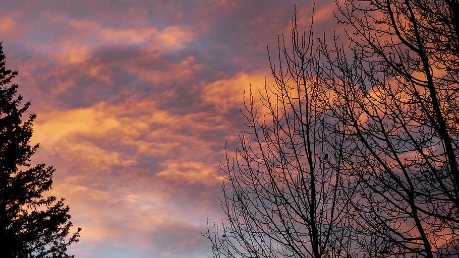 alberta, canmore, sunset, cloud, cloudy, nature, outdoor, outside HD wallpaper