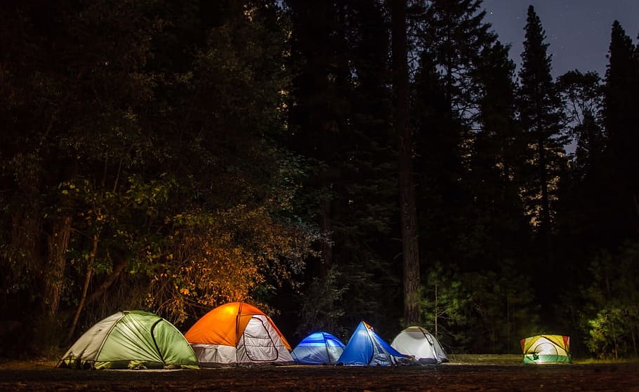 Six Camping Tents in Forest, adventure, campsite, dark, evening