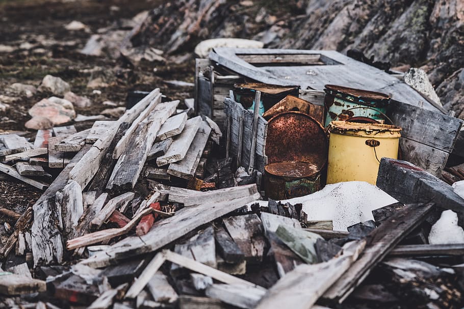 cans and scrap metals, rust, wood, animal, bird, tin, rubble, HD wallpaper
